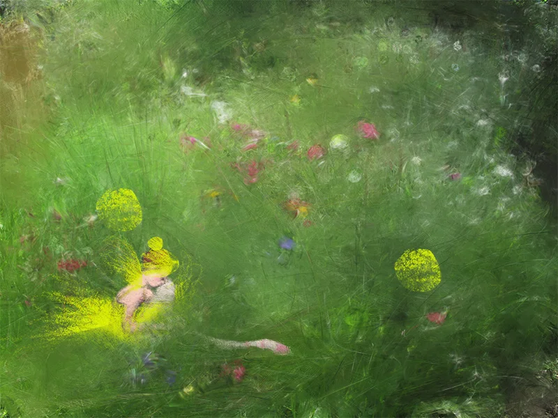 Fairy In Green Grass