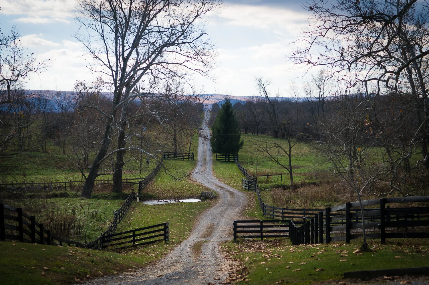 2008-11-09_08377_berryville_d300.jpg