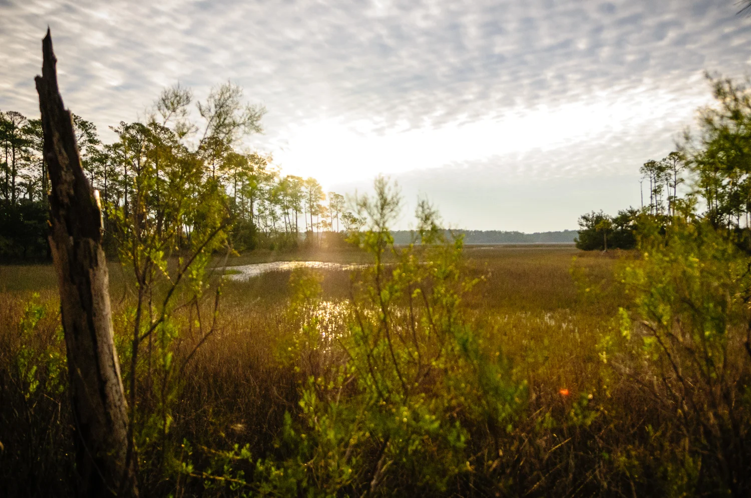 2013_03_01_06063_d300.jpg