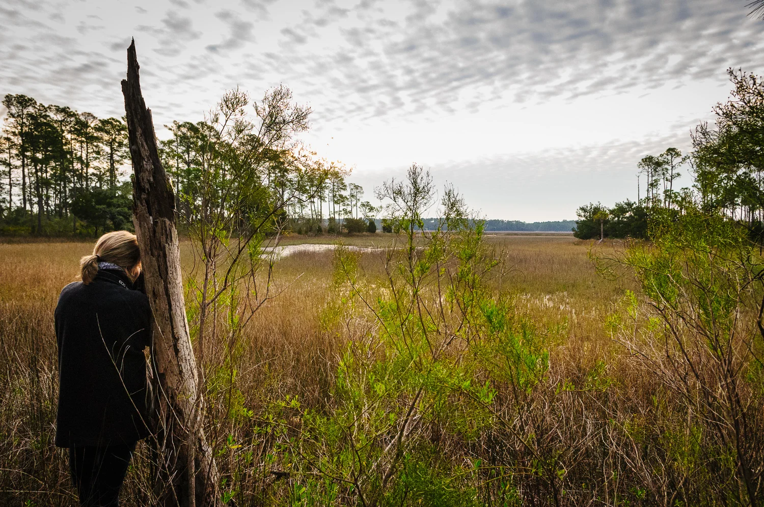 2013_03_01_06057_d300.jpg