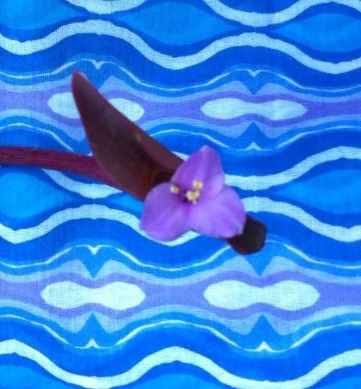 FjordBlueflower.jpg