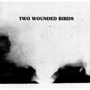 Two Wounded Birds.jpg