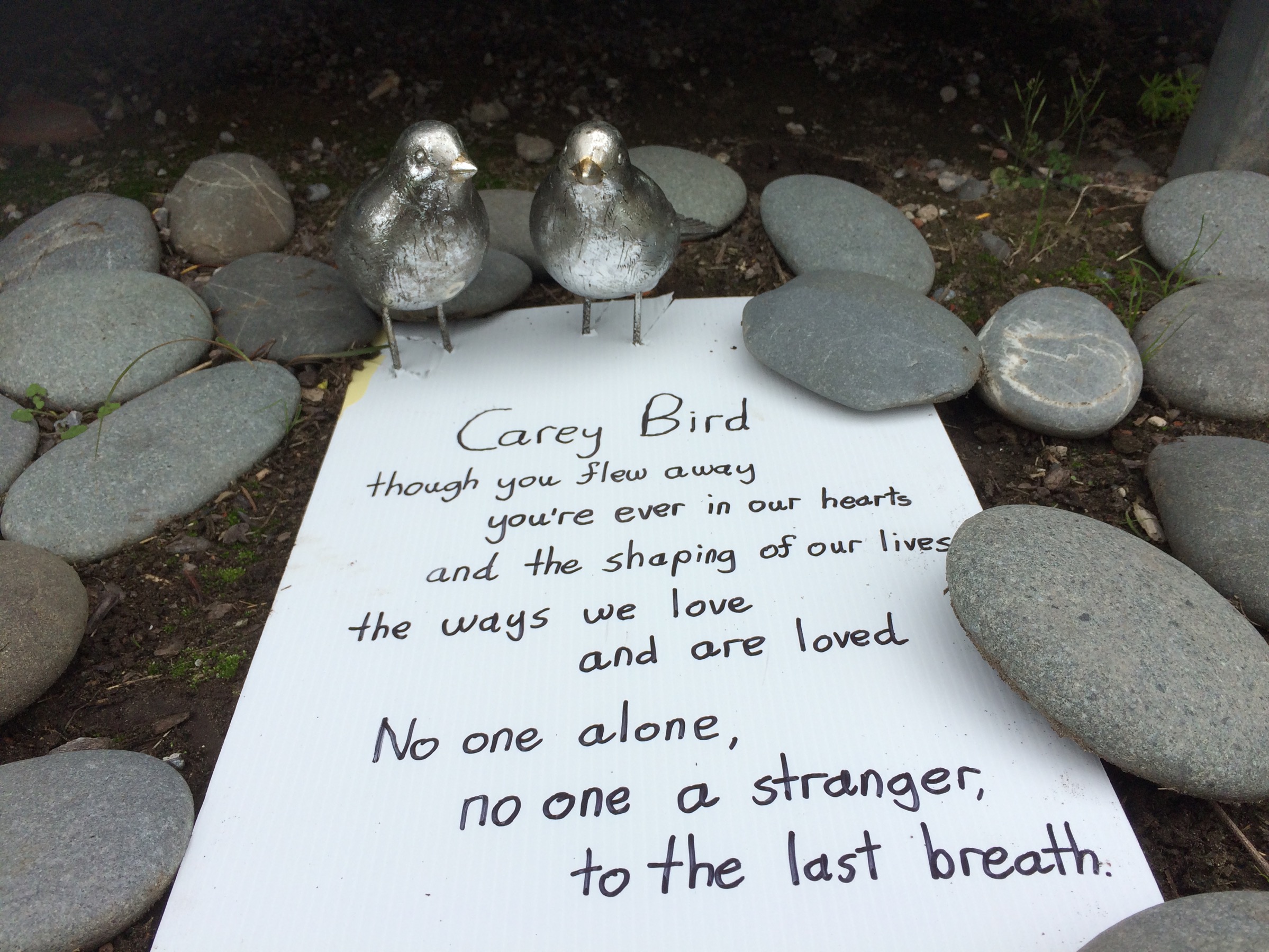 carey two birds flat.jpg