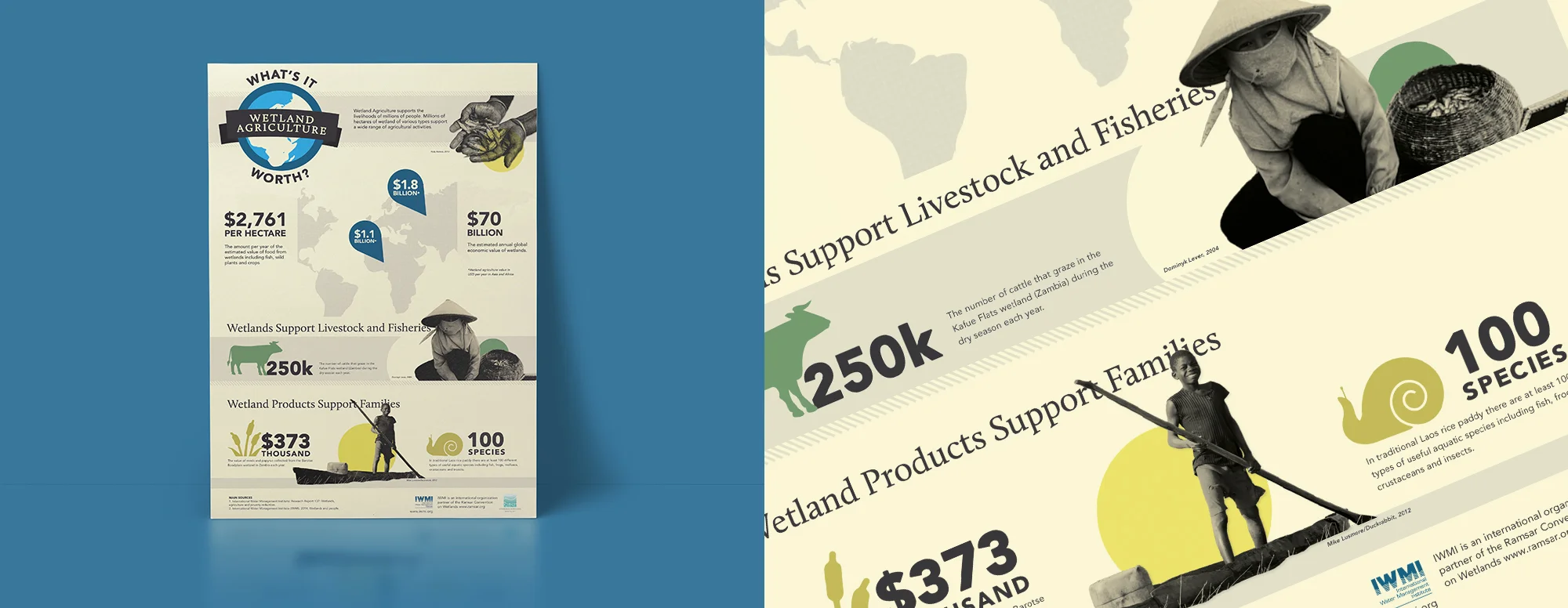 Client International Water Management Institute, (IWMI) Product A0 Printed Infographic Skills Graphic Design, Illustration