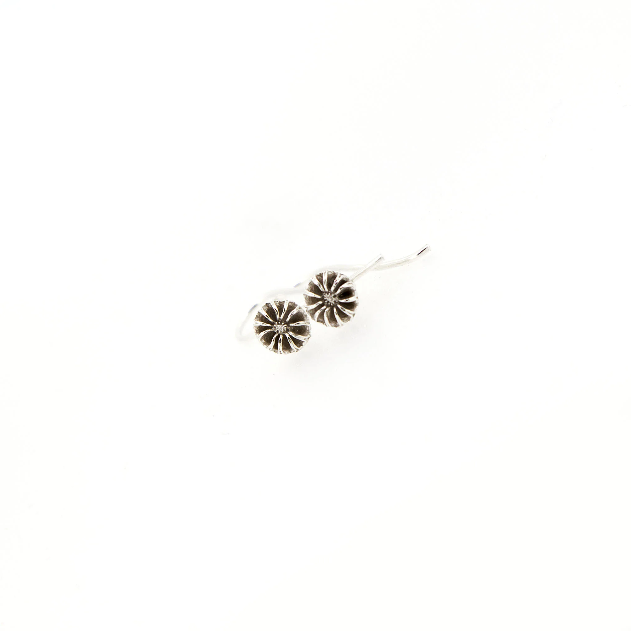 SeedPodSilver1.jpg