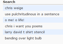 blogstatsearchpoem..png