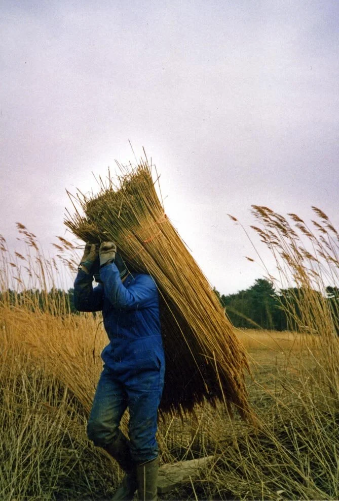 1479BDFB-00A3-4E5A-A471-8C23AC4EEDE0