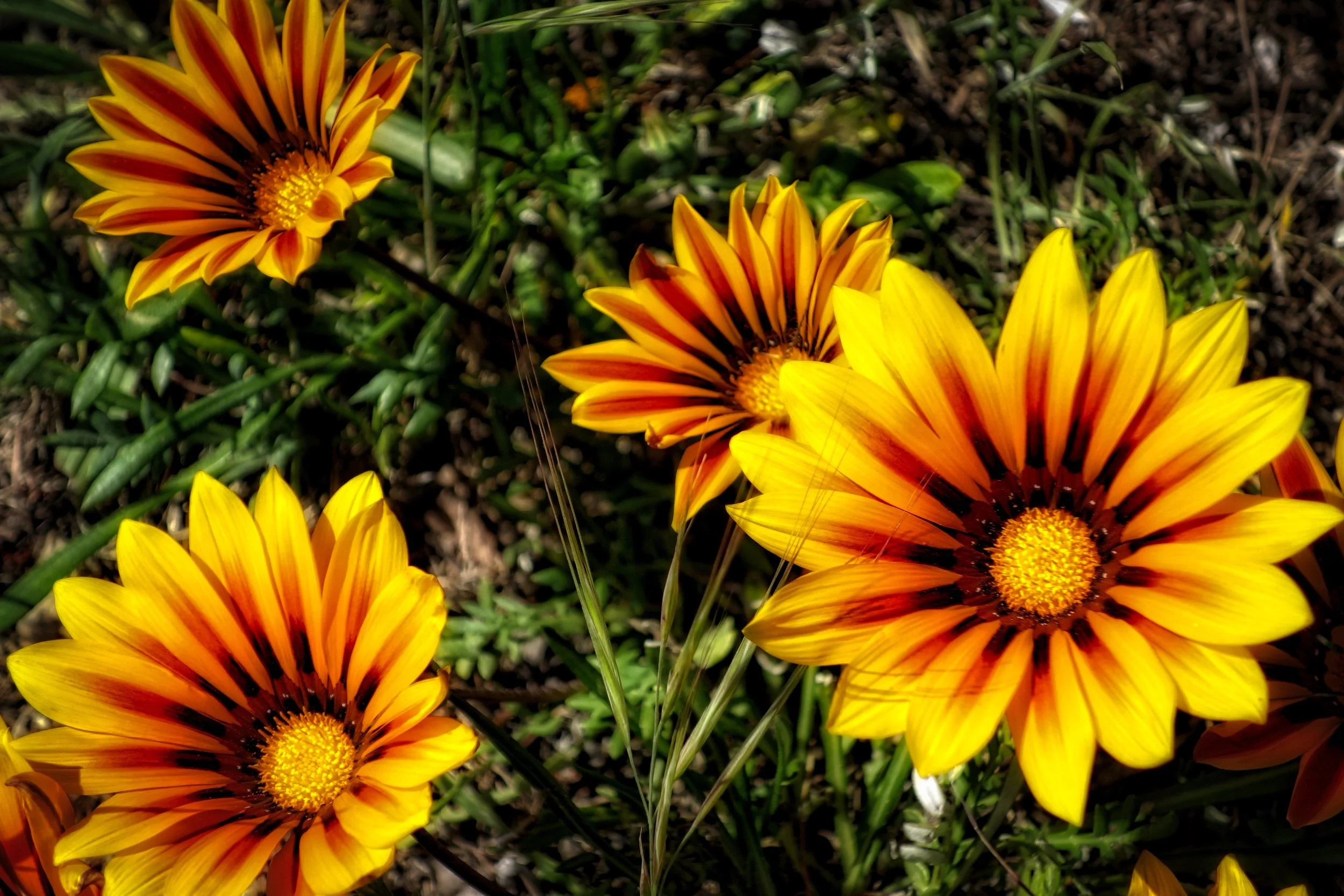 When Friendships End: Grieving a Loss, We’re Rarely Taught to Name