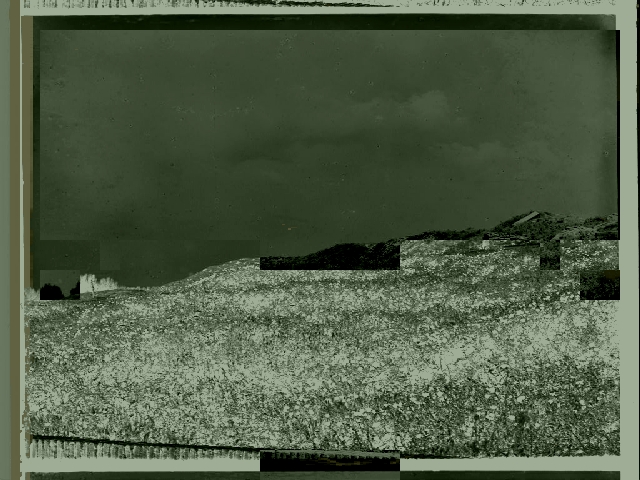 1943571.jpg