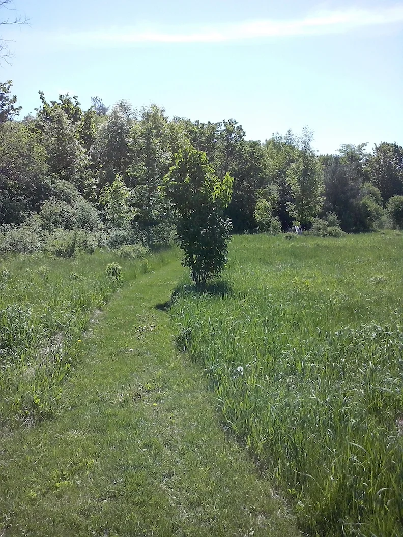 Walking path to town. 20 minutes to downtown and 12 minutes to high school