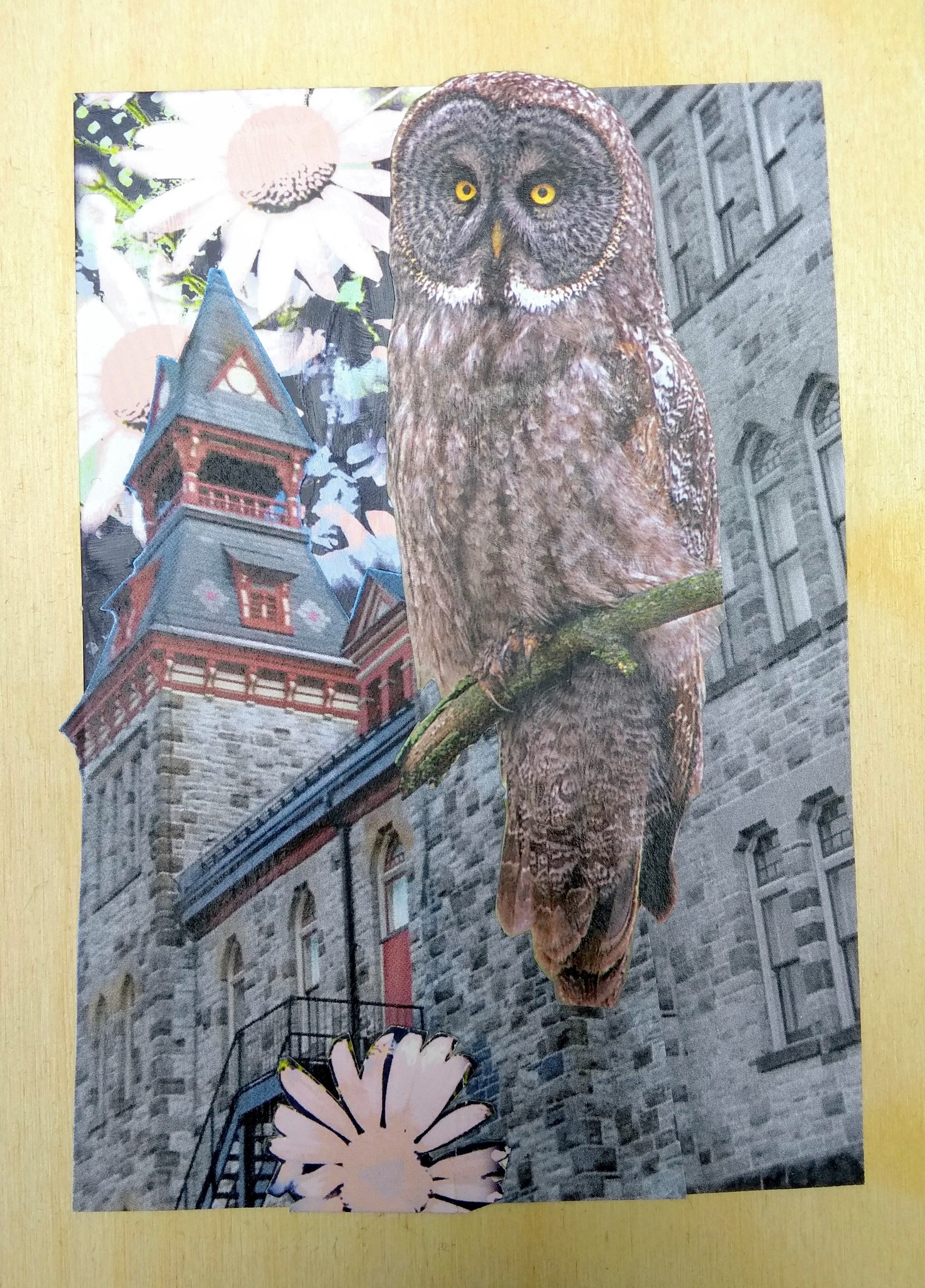 Almonte Owl Town Hall