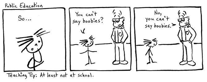 Boobies web.jpg