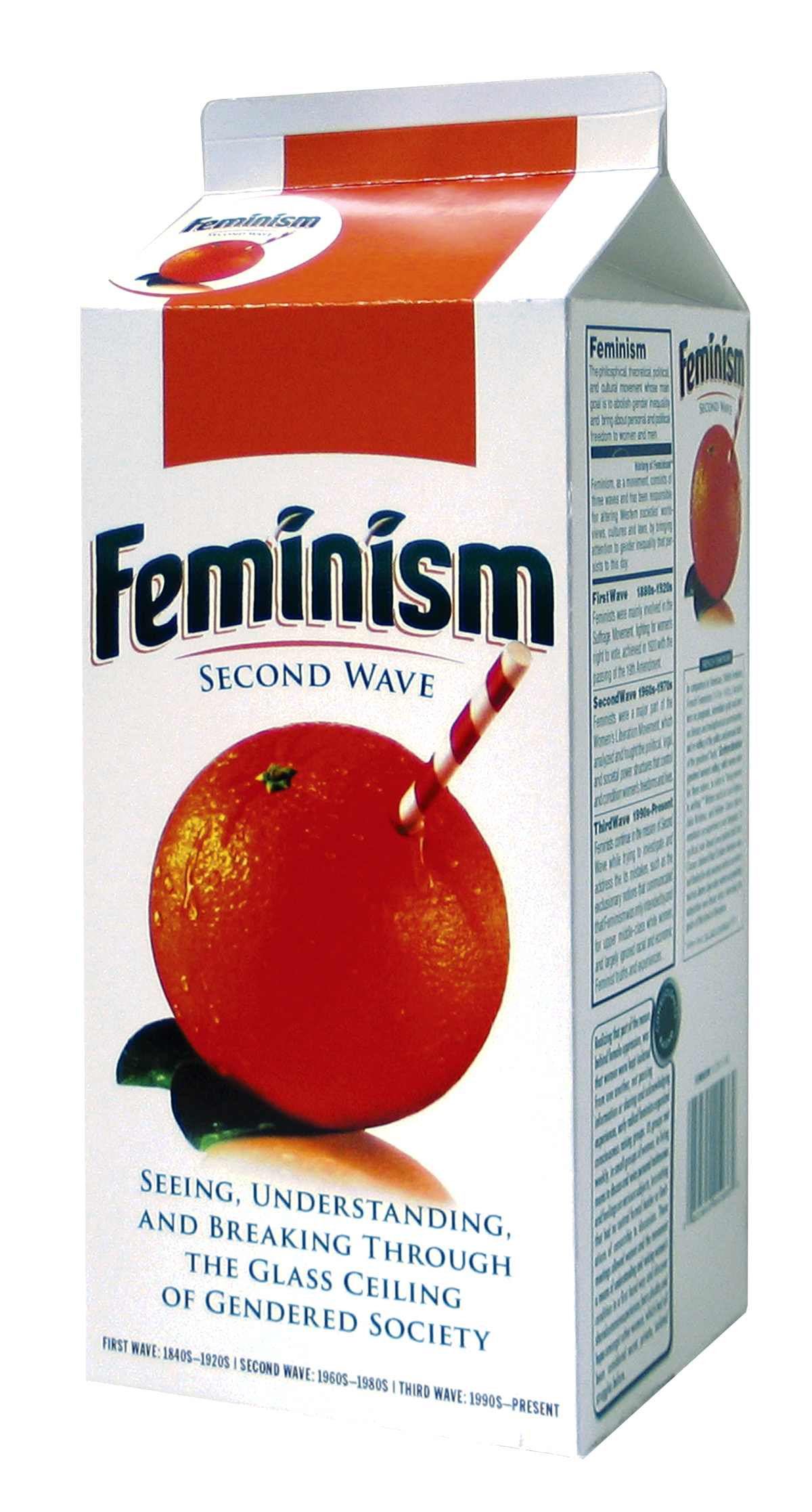 Feminism_package.jpg