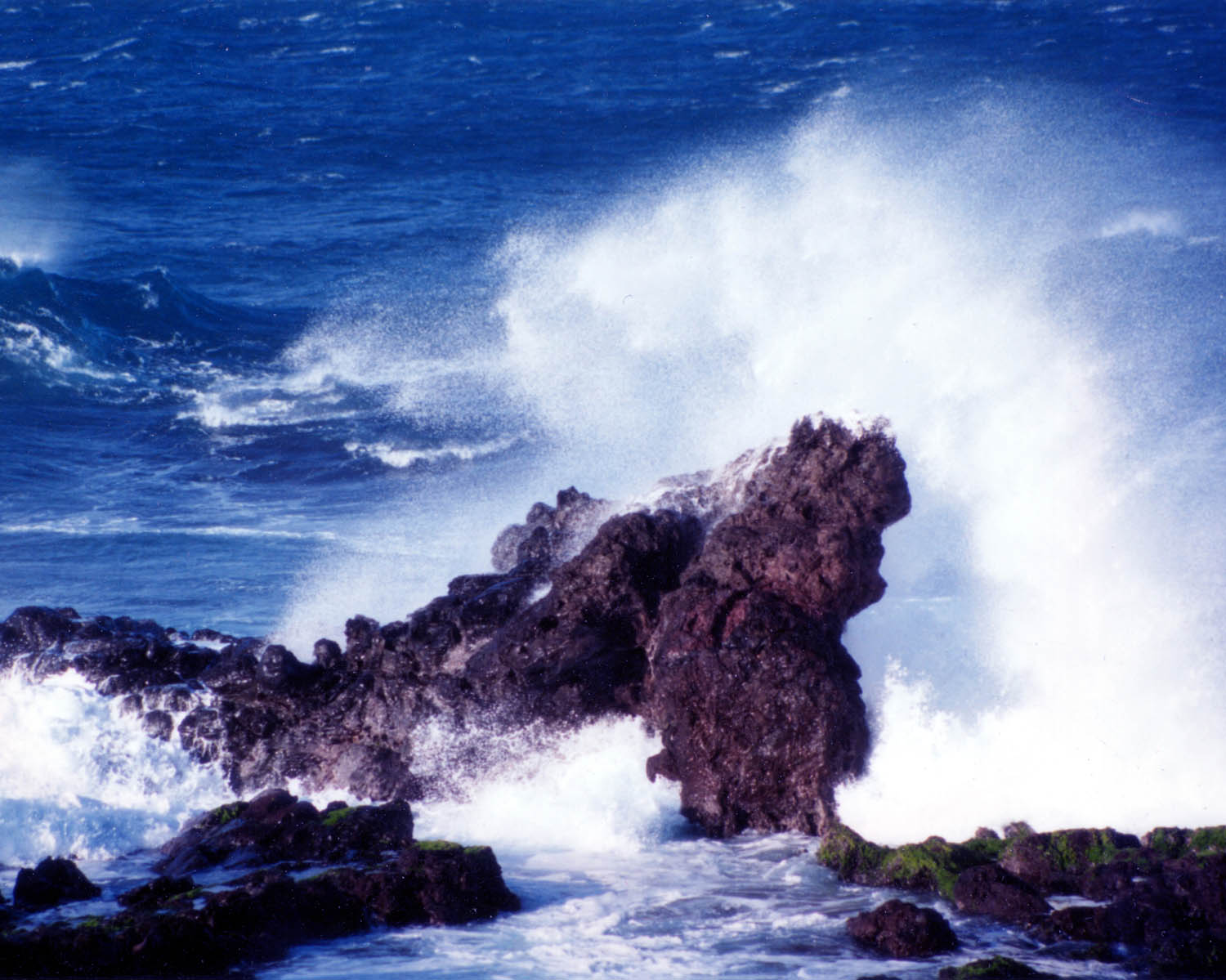 Maui Rocks