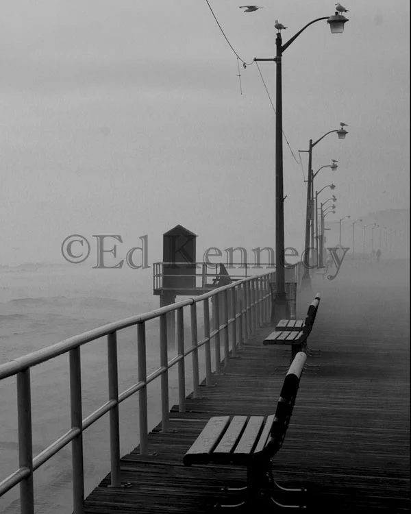 fog_.jpg