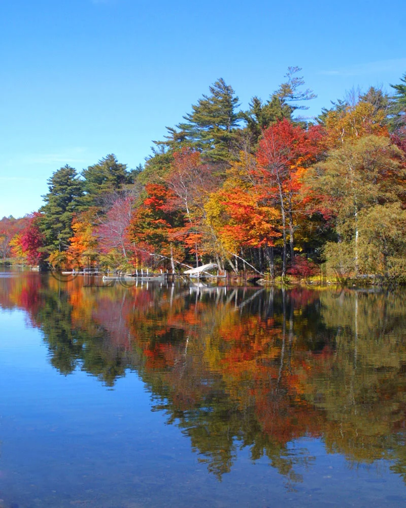 Lake Garfield #2