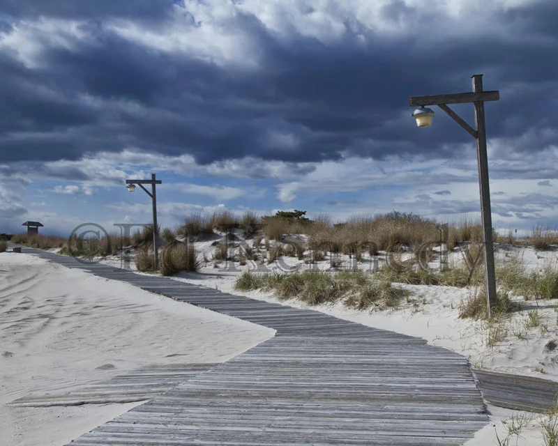Robert Moses