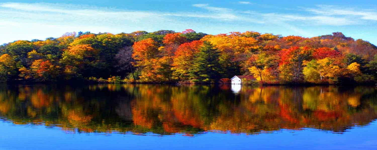 230---Lake-garfield-60x-24-working.jpg