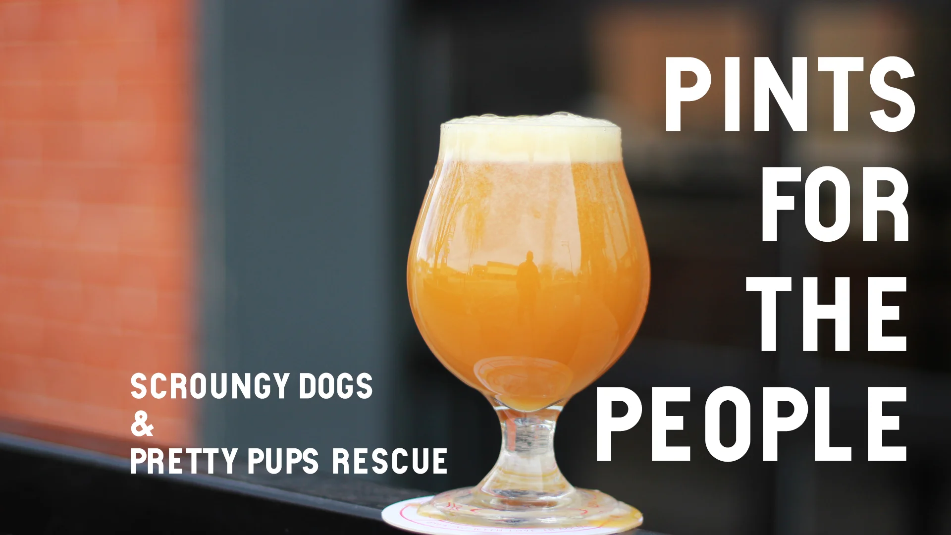 2019-08-28-SCROUNGY-DOGS.jpg