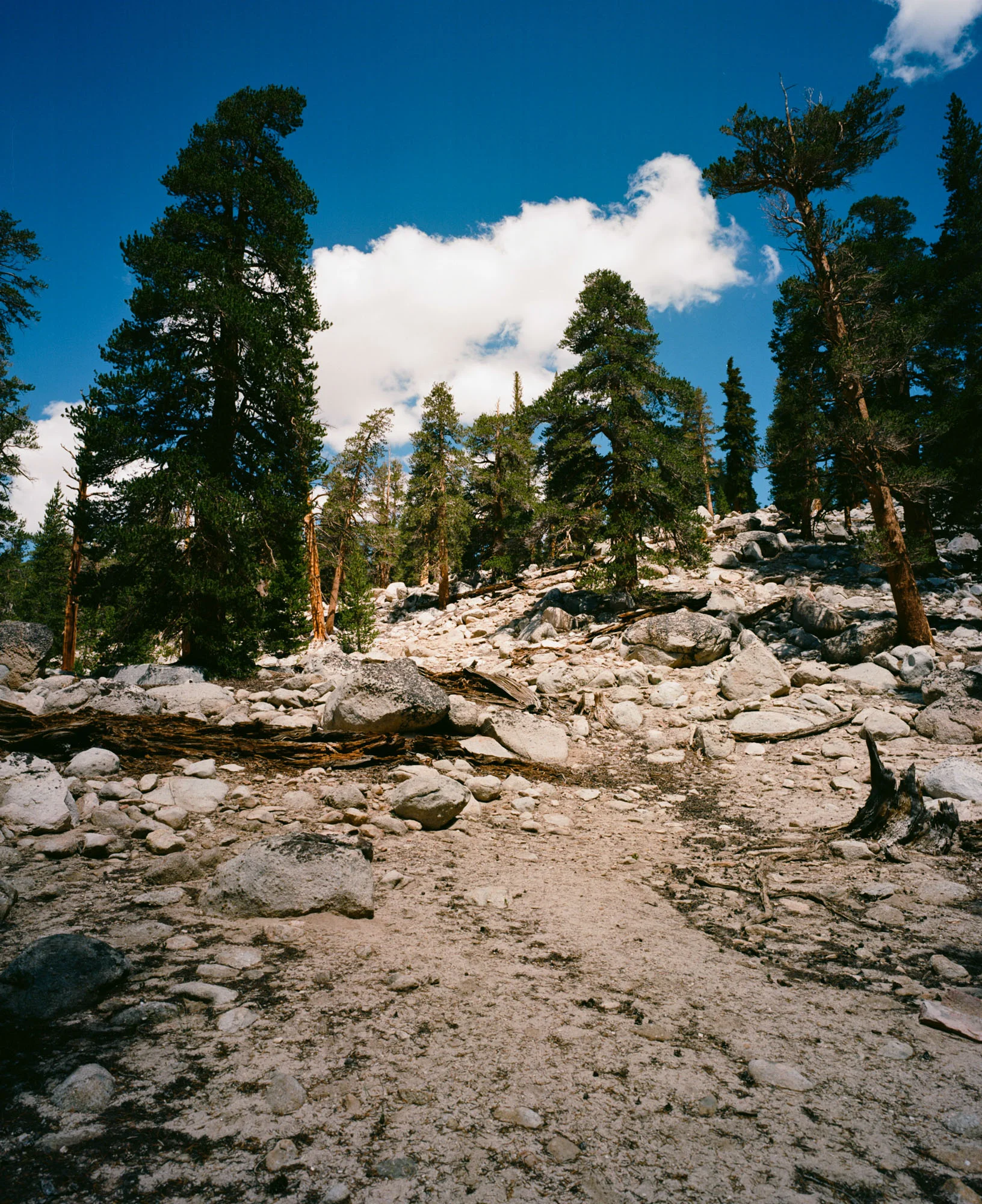 Sierras-2-1.jpg