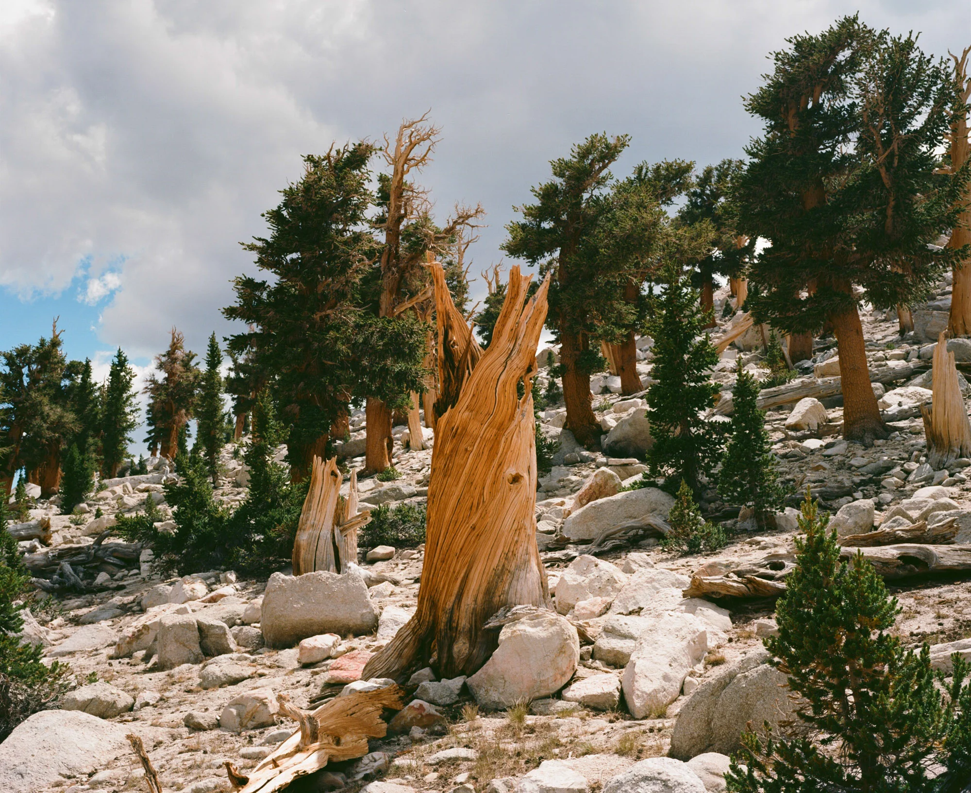 Sierras-4-3.jpg