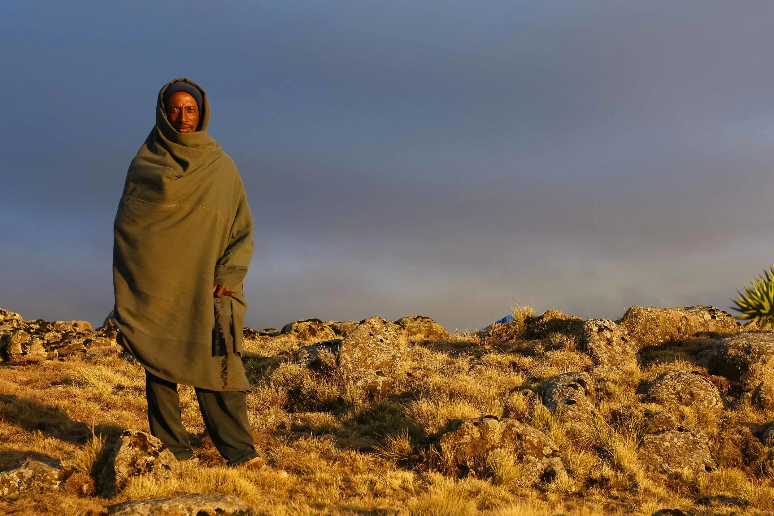 Sometimes pictures just compose themselves. In the Simien Mountains, as long as you're holding a camera, you're in photographic heaven. As dark clouds rose up in the distance and the sun set, it was impossible not to get this one right.