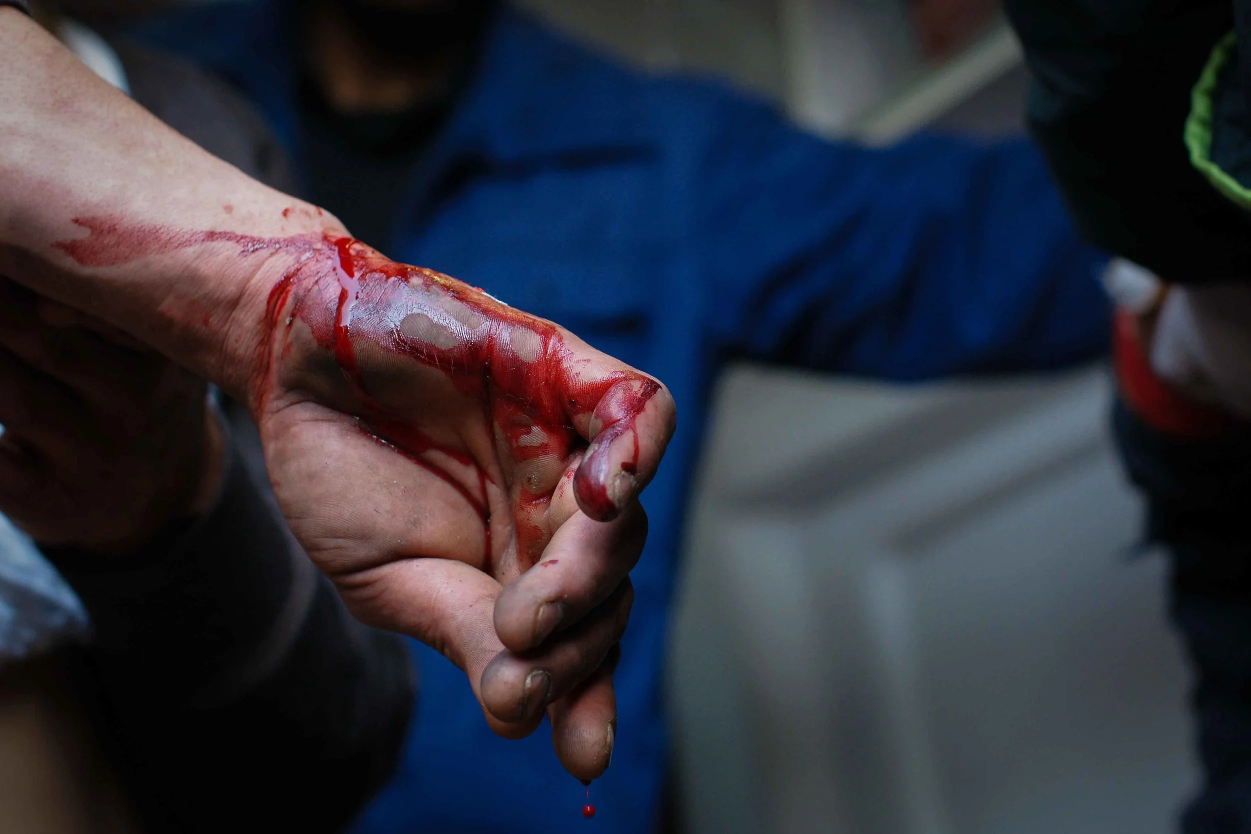birshot-5.jpg
