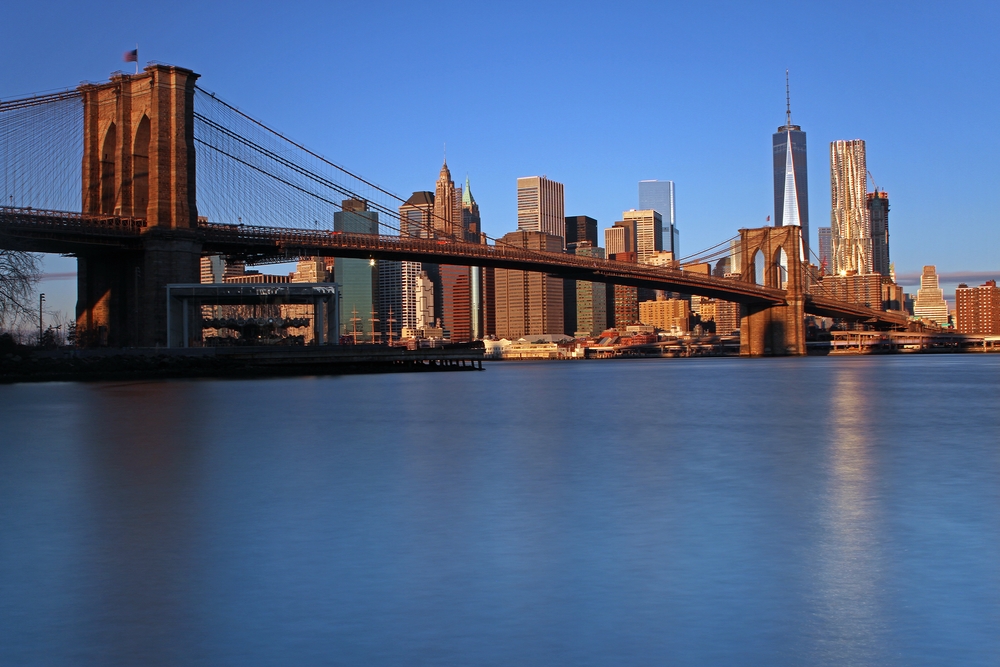 NYC Shiloh use only image for alumni webpage.jpg