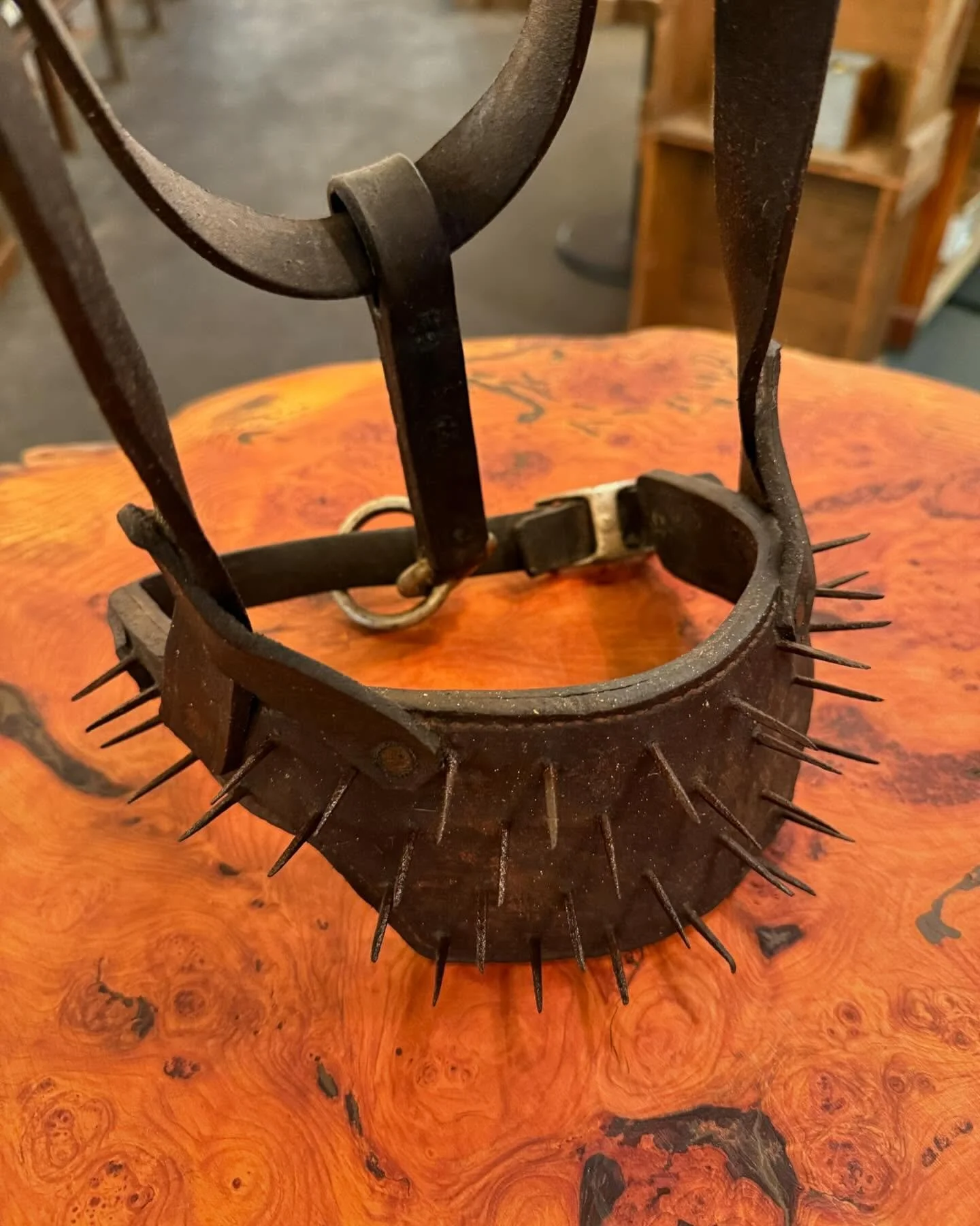 Something we never knew existed, much less that we would buy&hellip;
A collection of antique &ldquo;calf weaners&rdquo;!! 
(NOT wieners! That has to do with the other end of the calf and only in the case of the males)

Milk was a very important commo