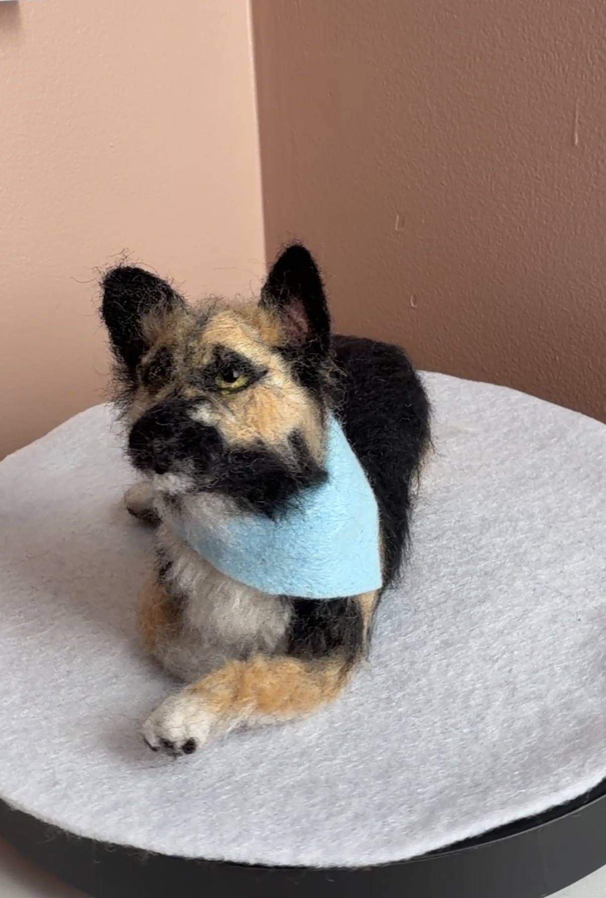 View recent photos 3.png