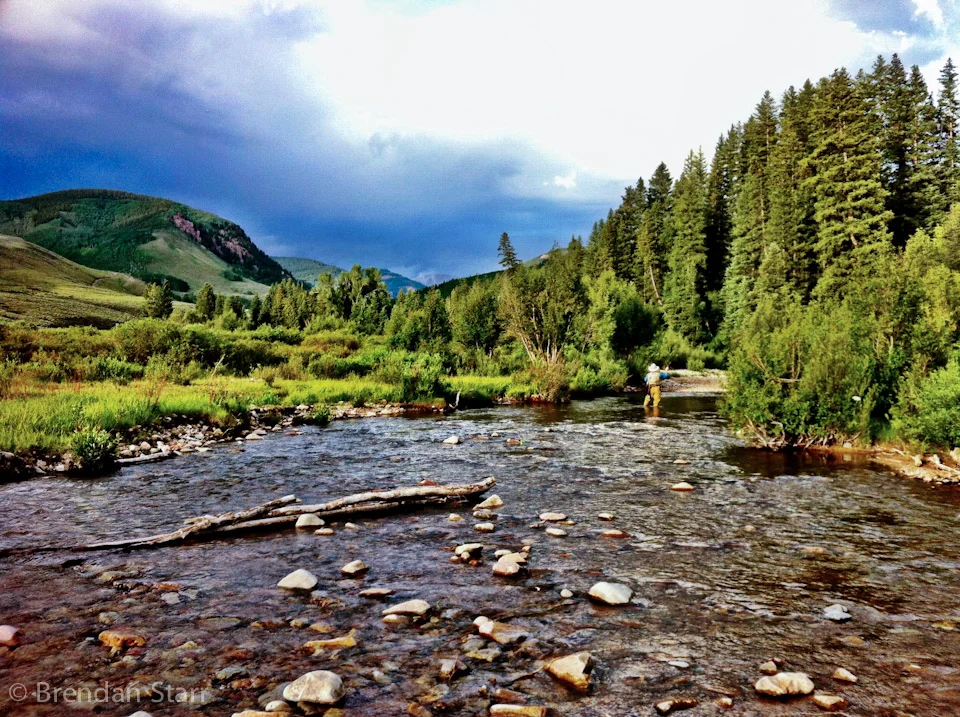 The Great "Outdoors"