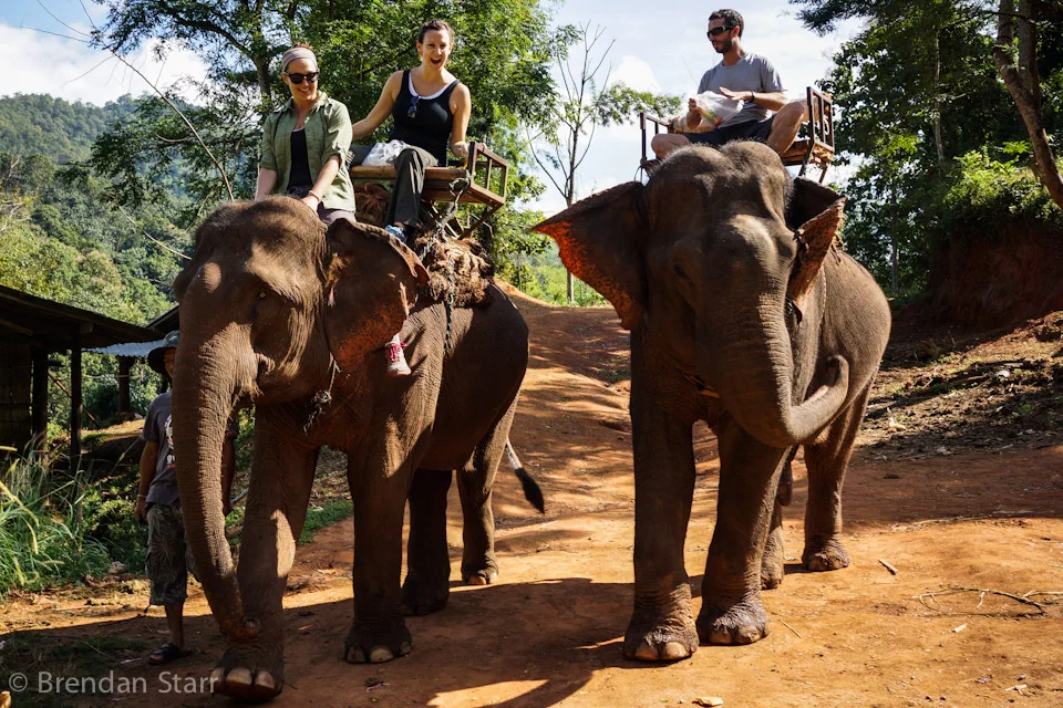 Trekking With Chang in Chiang Mai