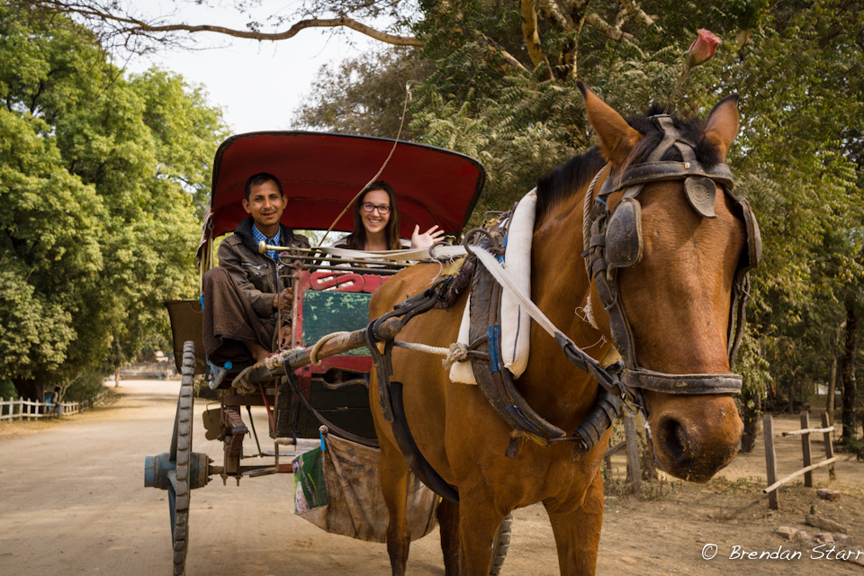 Brit and Horse Cart.jpg