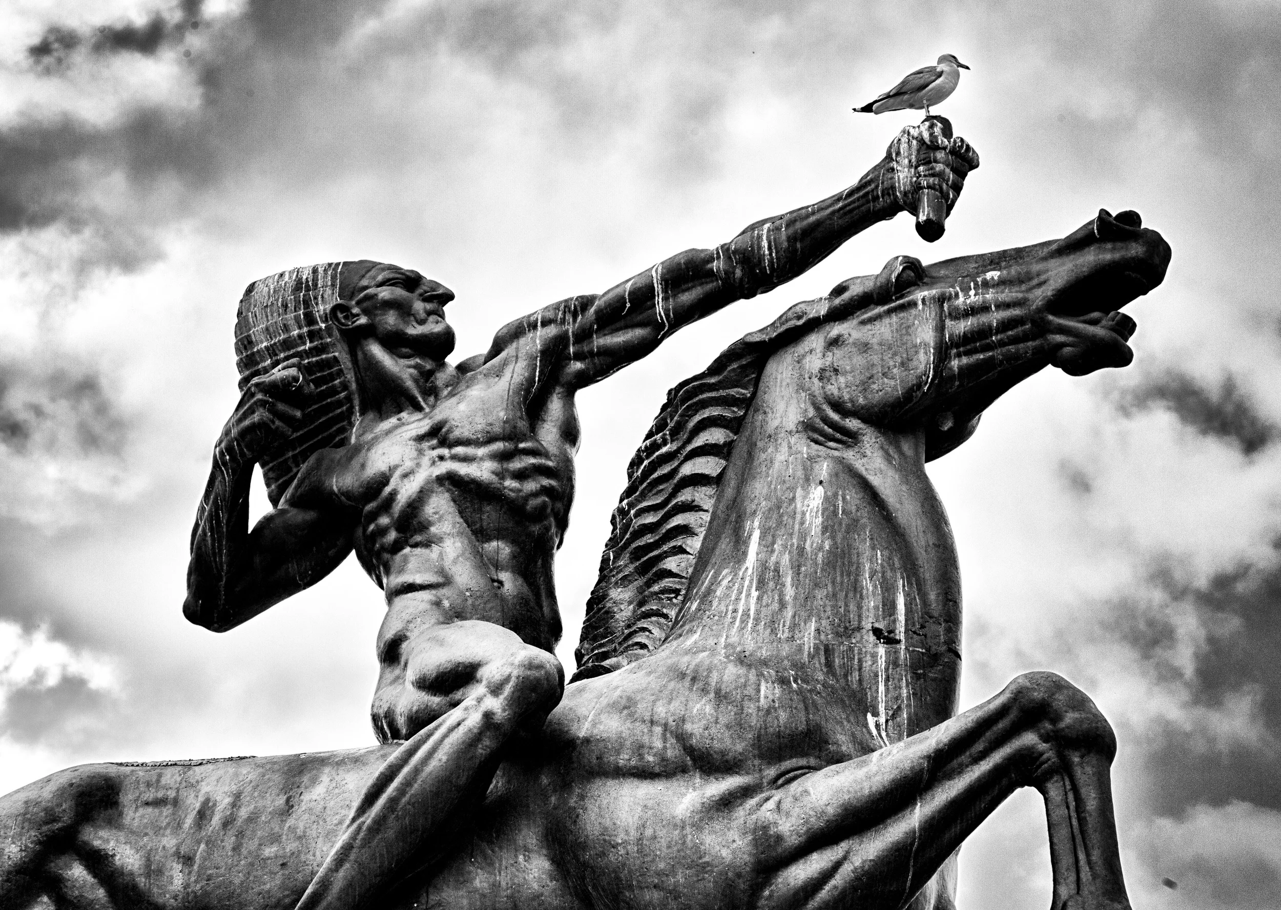GX1A2610-Edit.jpg