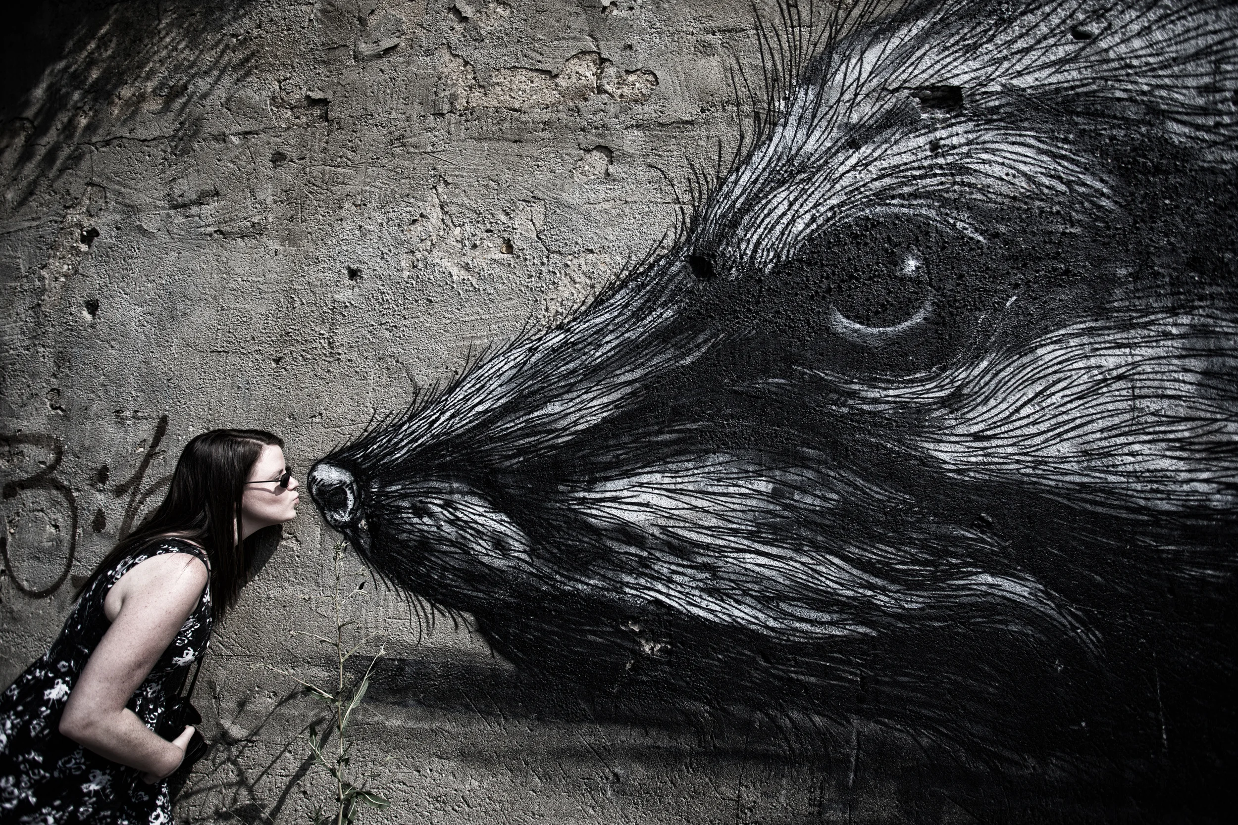 Pilsen Mural Project