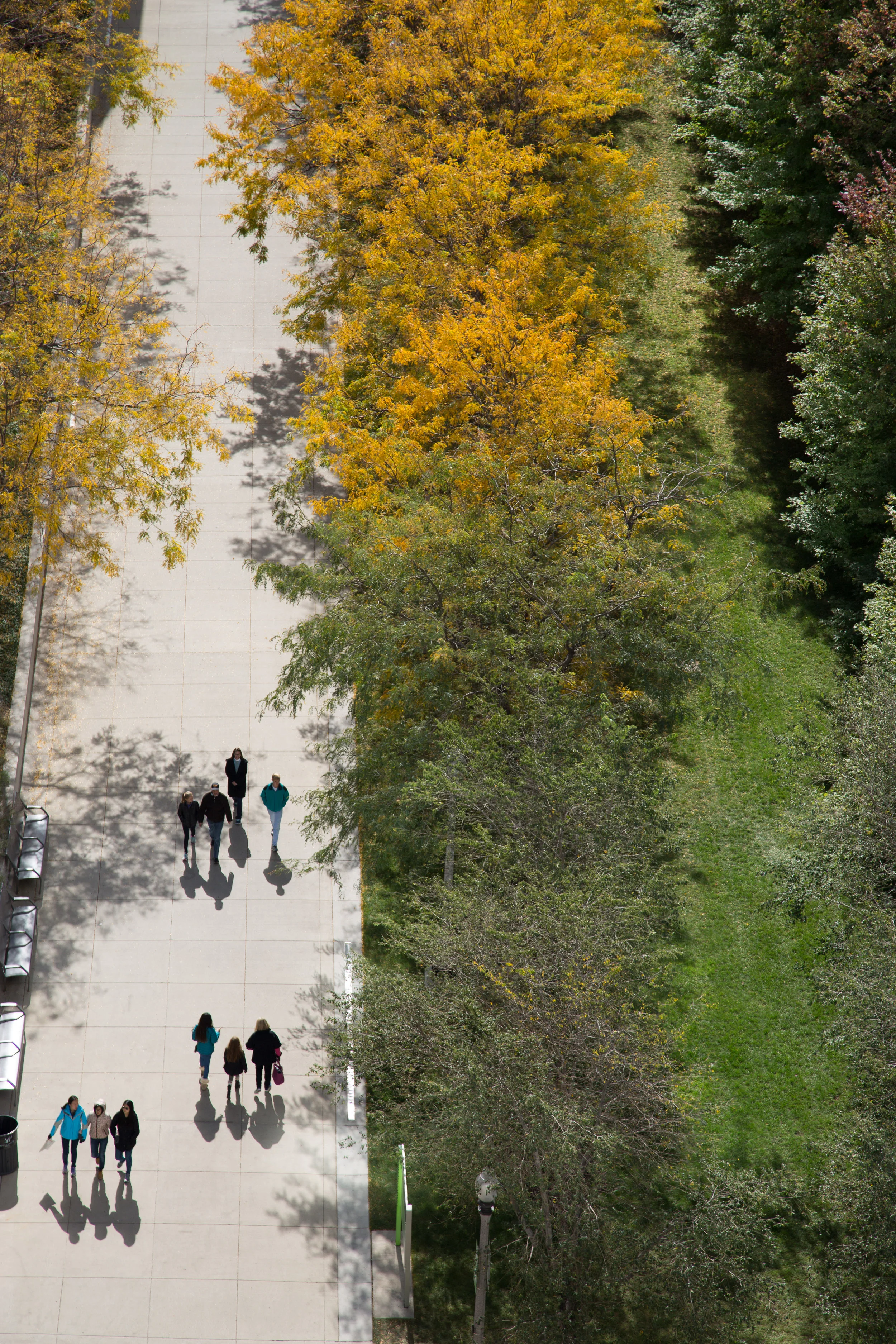 OHC20152-0180.jpg