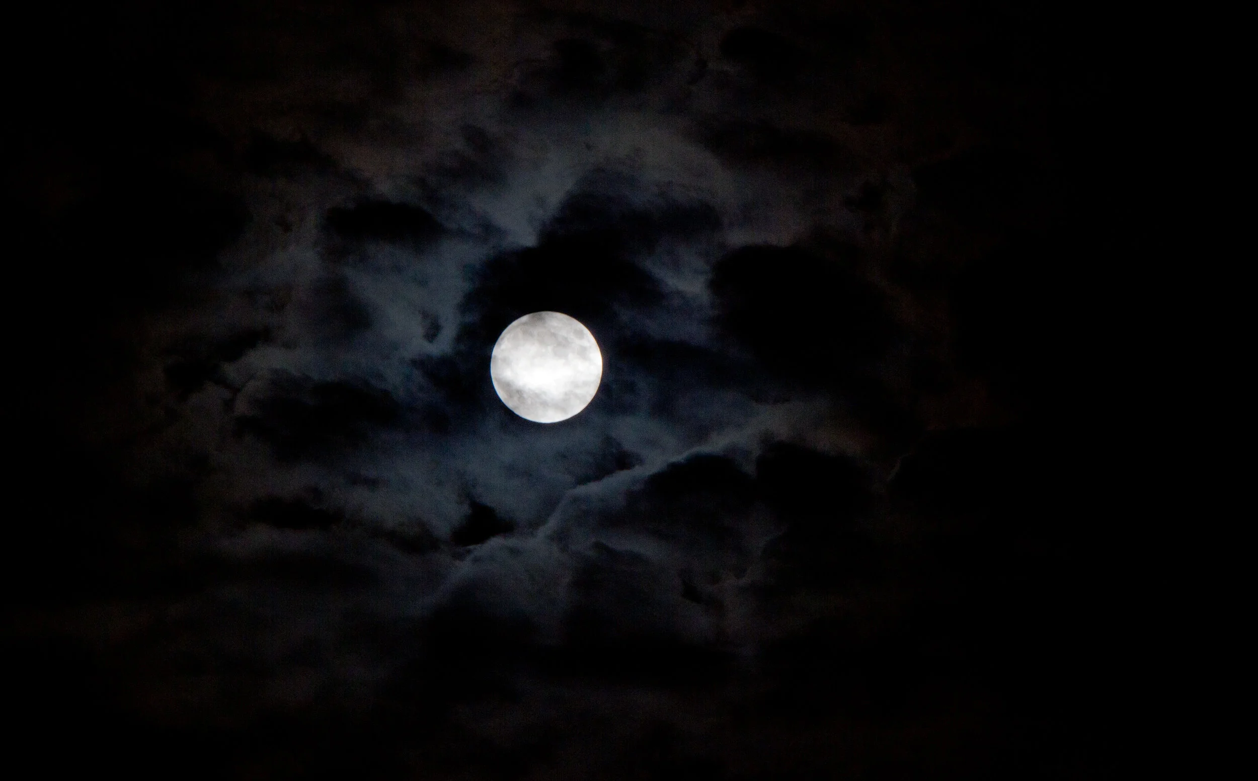 IMG_7919-Edit.jpg