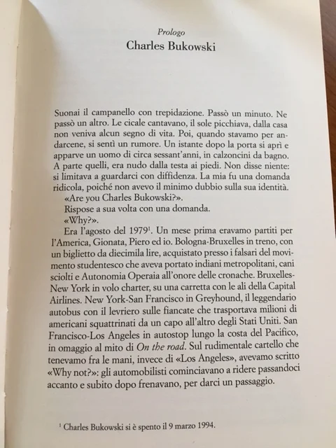 image3.jpg