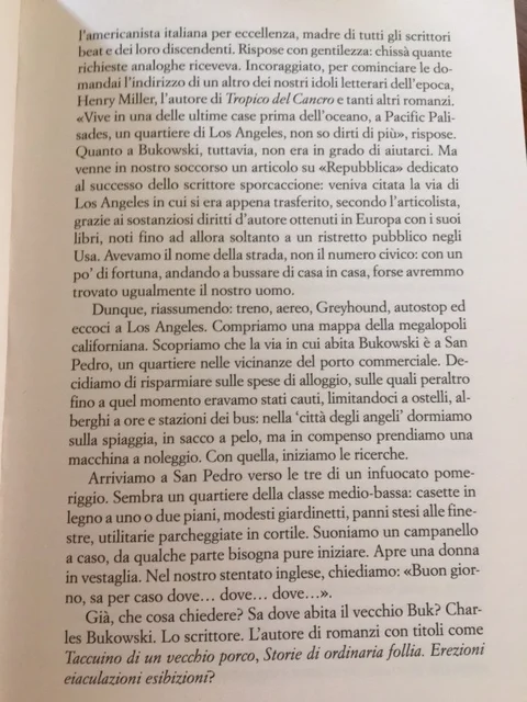 image1.jpg