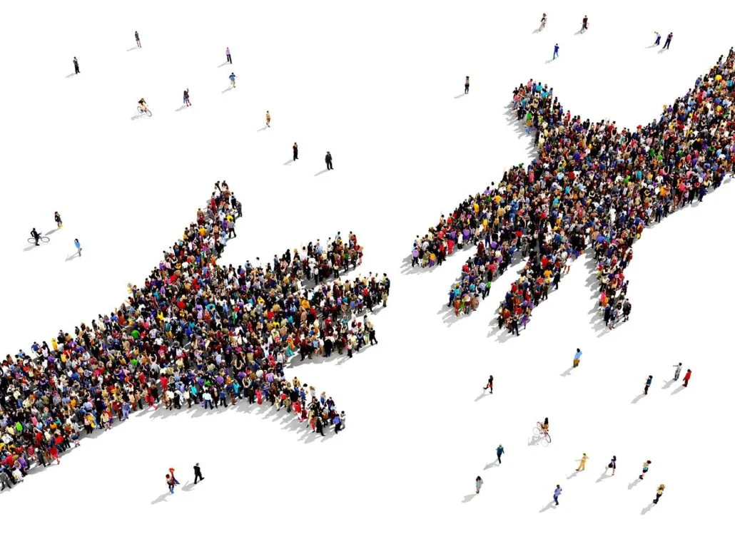 solidarite-mains-1030x749.jpg