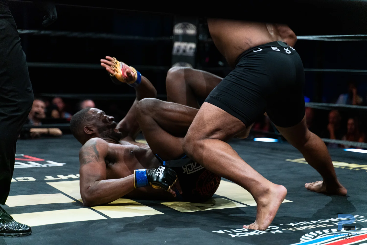 mma resize -05970.jpg