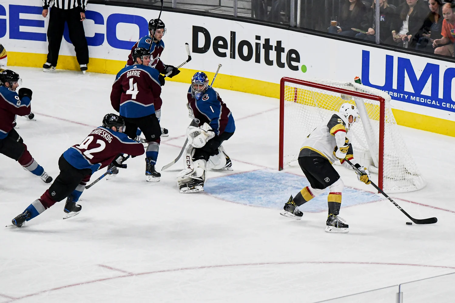 DSC_2349avalanchevsGoldenKnights.jpg