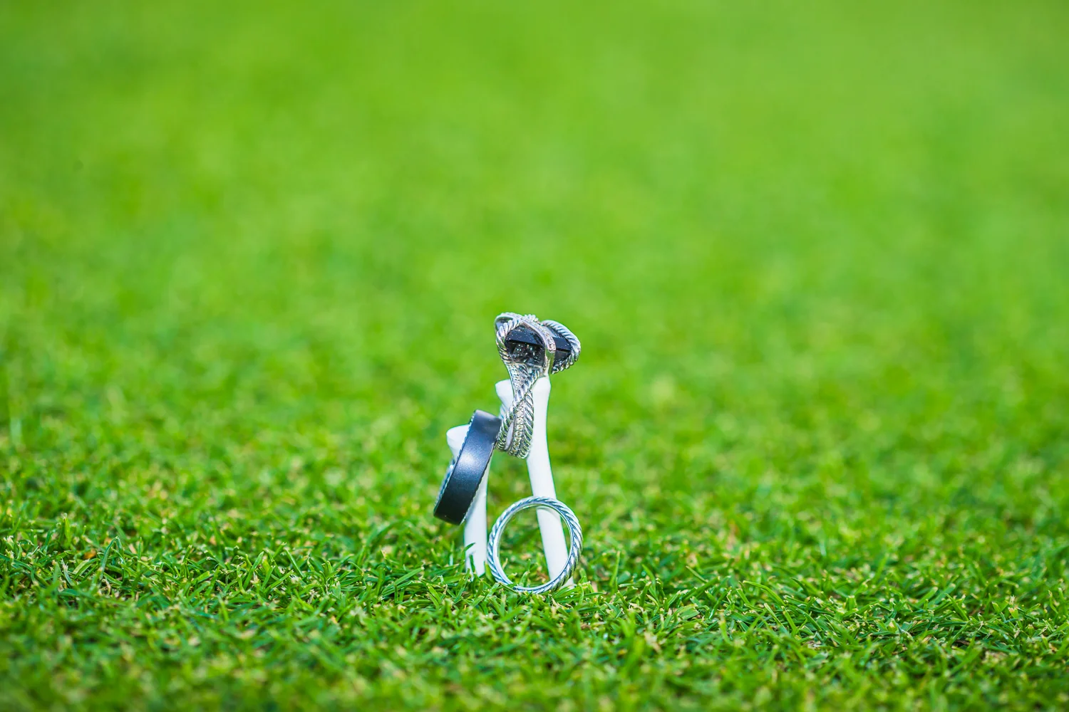 wedding-652.jpg