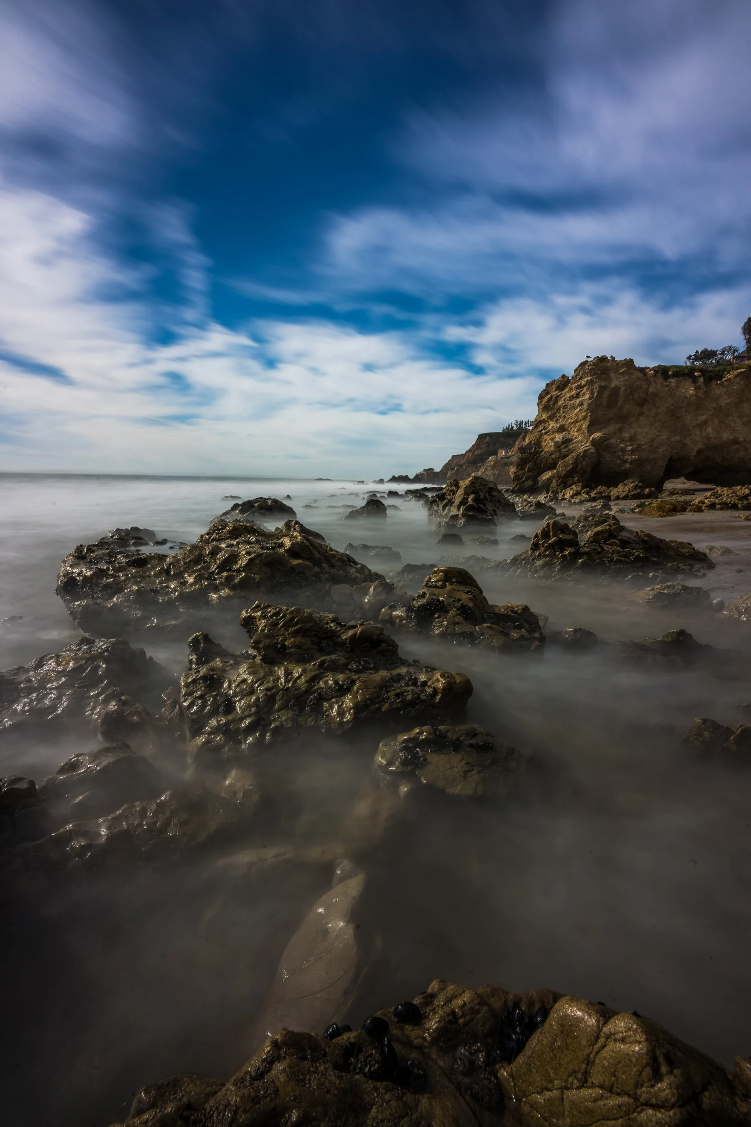 DSC07509-Edit.jpg