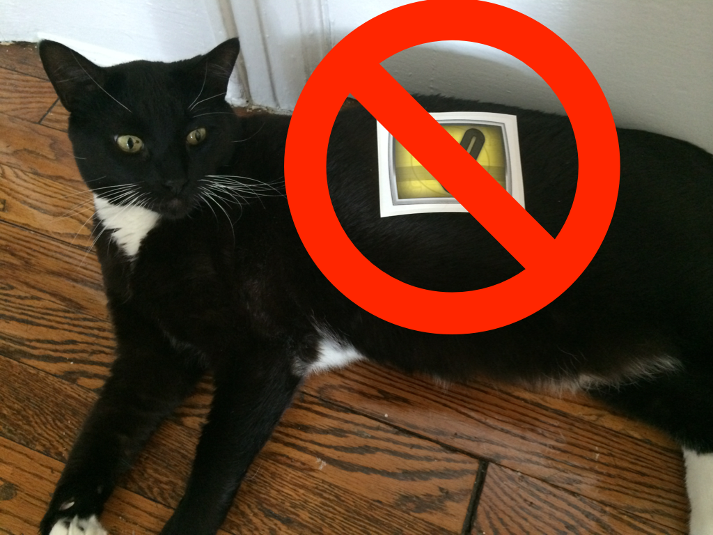 DO NOT PLACE STICKERS ON PETS