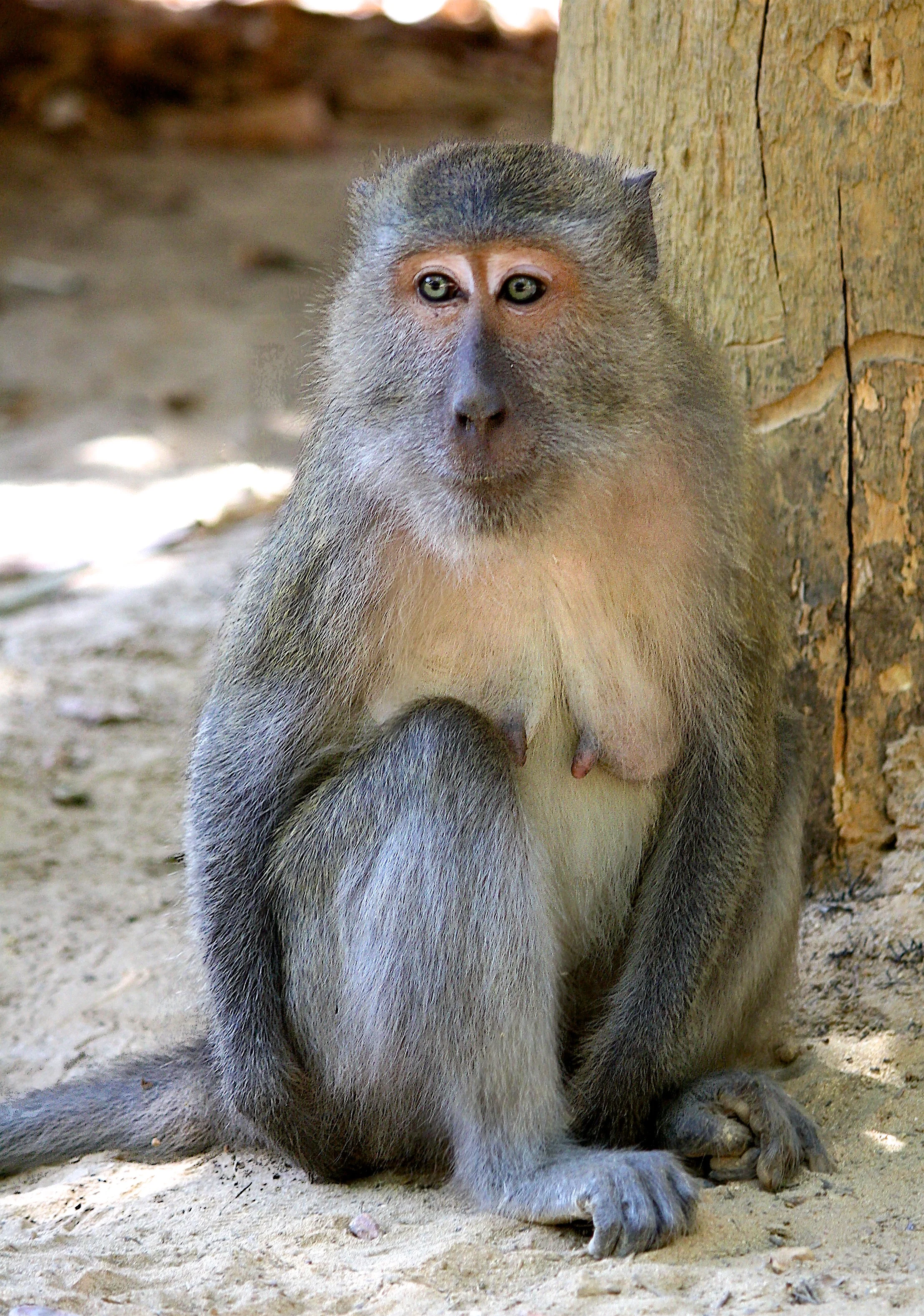 IMG_6246.jpg