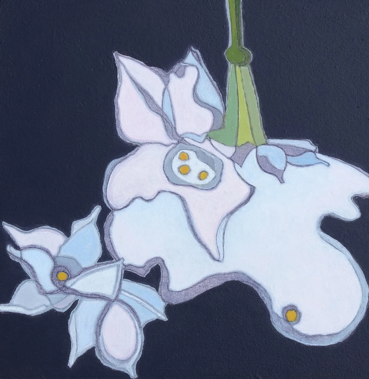 Paperwhite
