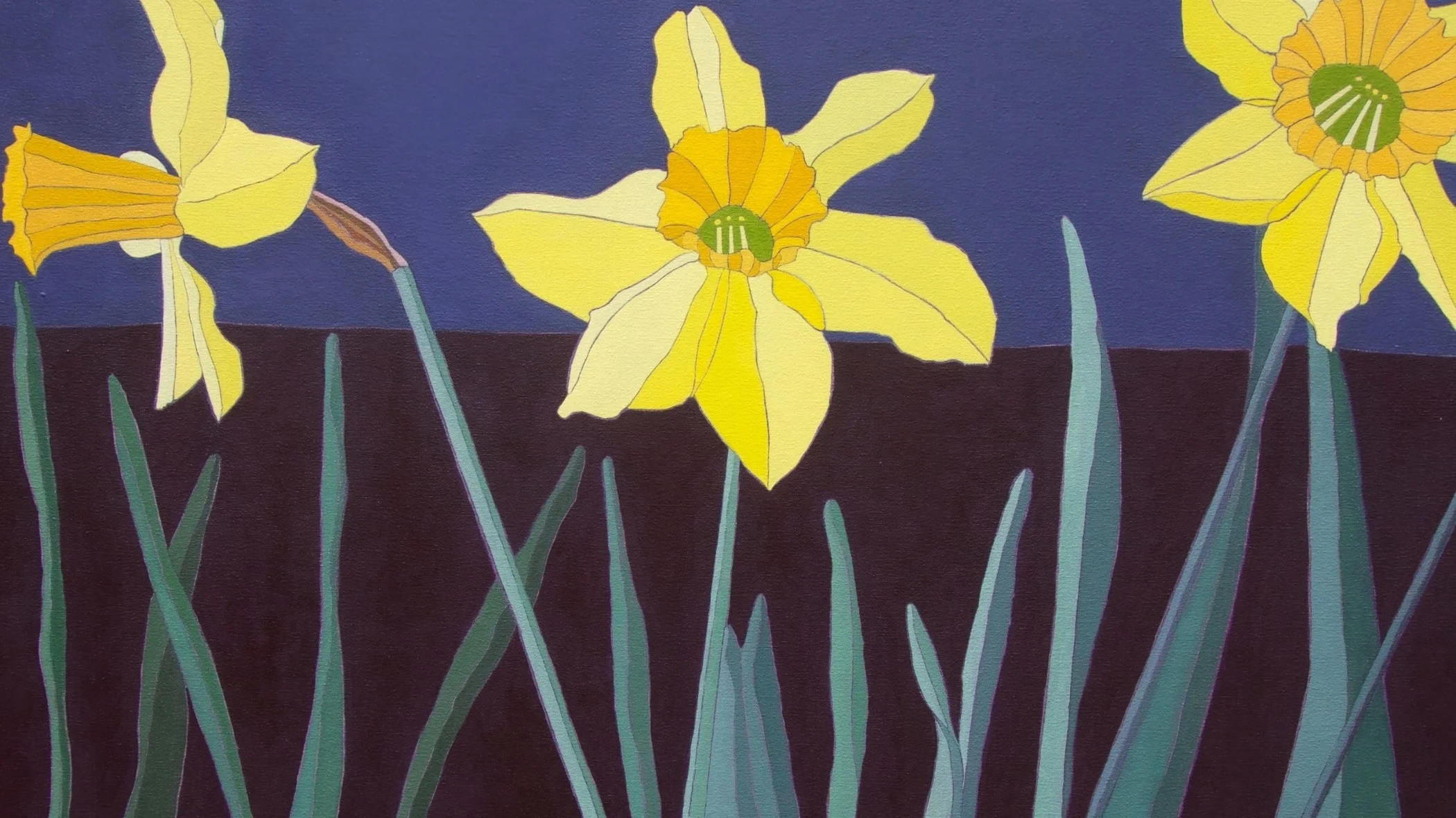 Daffodils at Dusk