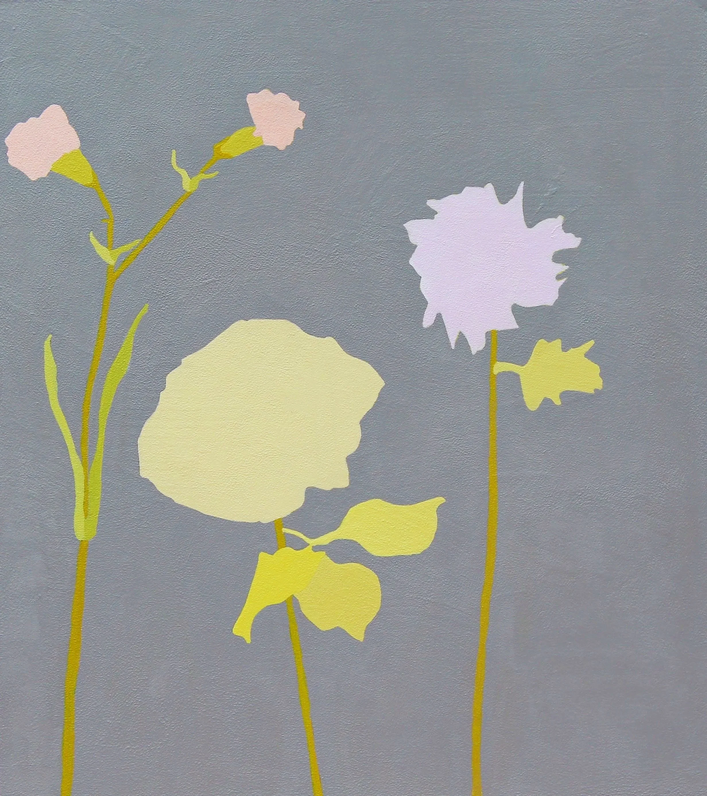 Carnation Rose and Daisy