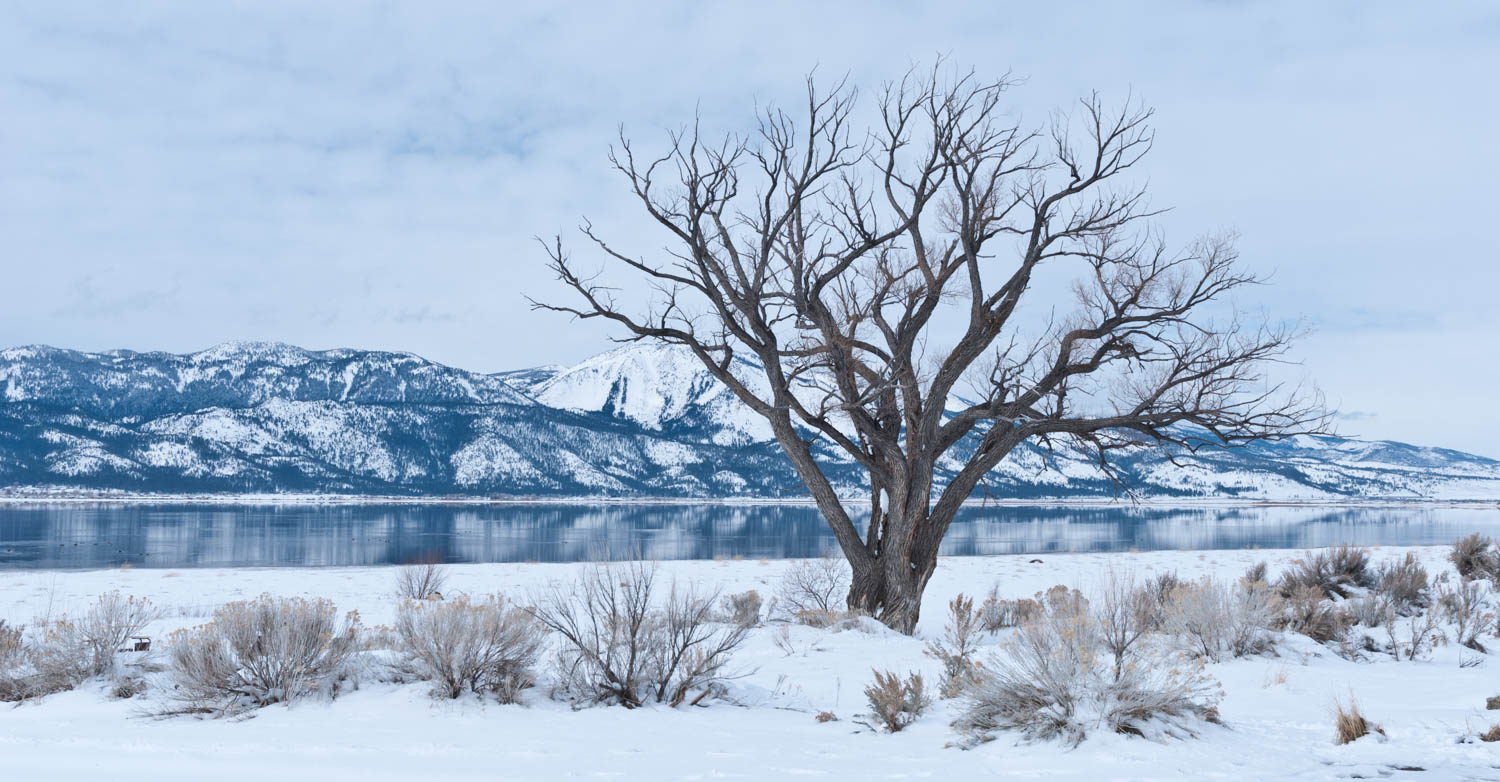  Stark Washoe winter...